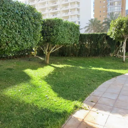 Apolo 16, Planta 17