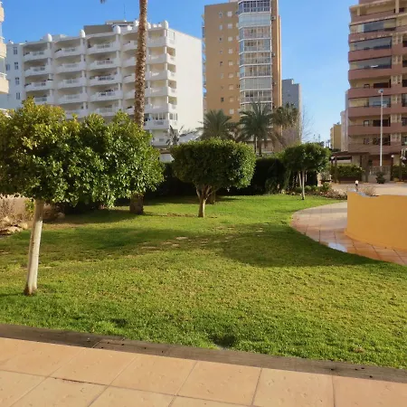 Apolo 16, Planta 17 * Calpe